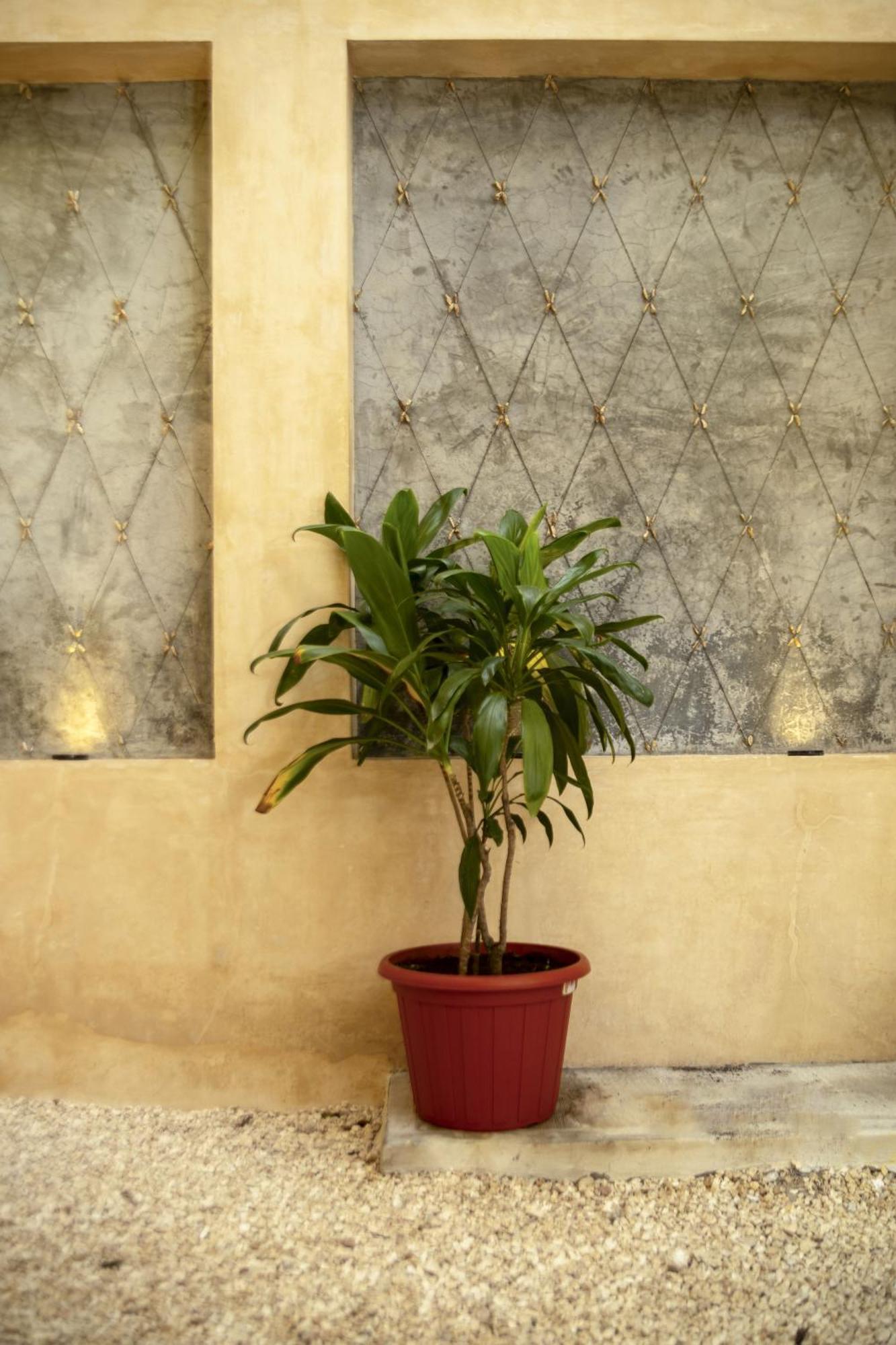 Casa Marco'S Ξενοδοχείο Βαγιαδολίδ Εξωτερικό φωτογραφία